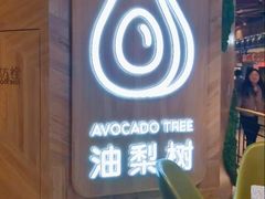 -油梨树AVOCADO TREE(嘉里中心店)
