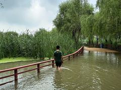 -绿堤公园