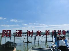 -阳澄湖半岛旅游度假区
