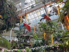 -正佳雨林生态植物园