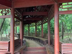 -塘沽森林公园