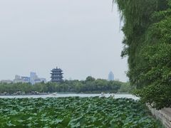 -济南大明湖景区