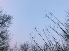 -管氏翅吧(国展店)