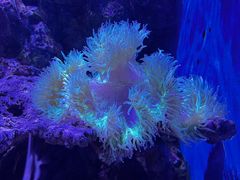 -大连老虎滩海洋公园