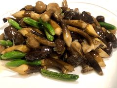 乳瓜鸡枞菌-马凯餐厅(长椿街店)