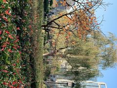 -永旺黄岛购物中心