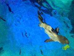 -沈阳海洋探索中心