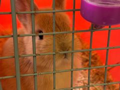 -龙猫仔乐园(惠福东路店)