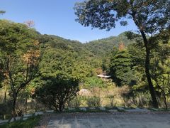 -桃花涧