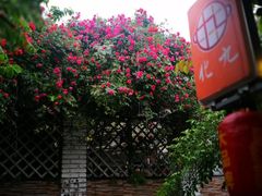 -化龙桥九宫格火锅(清水河店)