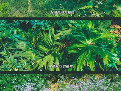 -广东花都湖国家湿地公园