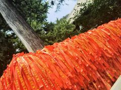 -红螺寺