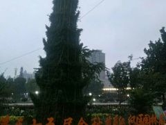 -西北湖绿化广场