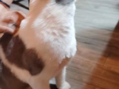 -后院儿·精酿·塔罗Happy Bar