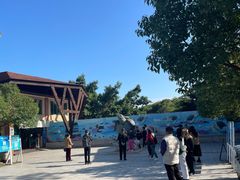 -广东惠东海龟国家级自然保护区