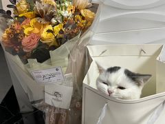 -植物学家的女儿(北马道巷店)