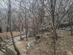 -井塘古村