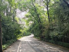 -沈阳植物园