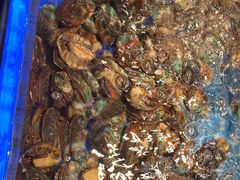 -焰江山海鲜牛排烤肉自助(锦华万达二星店)