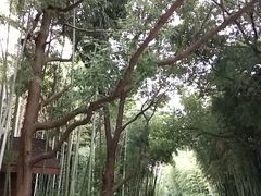 -苏州河梦清园环保主题公园