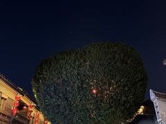 -华丰贺氏(福新西路店)