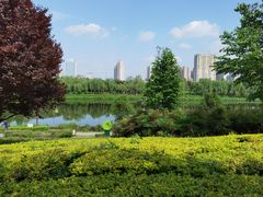 -西安汉城湖景区