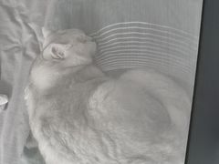 -宠颐生动物医院·小陆分院