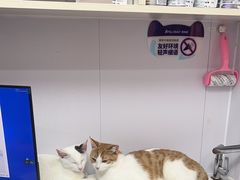 -博特宠物医院24h犬猫全科.骨科·异宠
