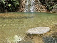 -南海湾森林生态园