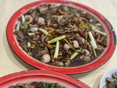 -东吴霸王兔(松青路店)