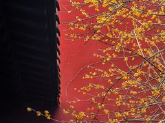 -钱王祠