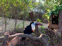 -泉州海丝野生动物世界