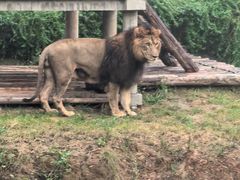 -石家庄市动物园