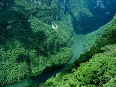 -苏浙总会(国金中心店)