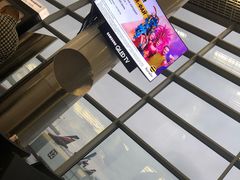 -谢列梅捷沃国际机场