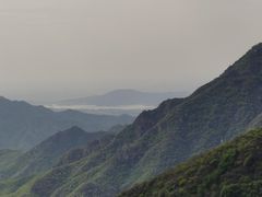 -大岭沟猕猴桃谷风景区
