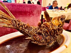 挣蹦鲤鱼-奥华餐厅·老张记(台基厂店)