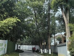 -塔子山公园