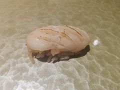 -炎橘·板前料理 Omakase
