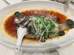 -大东海海鲜酒楼(渔人码头总店)