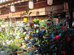 -龙姐私房菜(和顺古镇店)