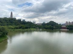 -顺峰山公园