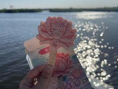 -白洋淀景区
