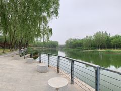 -大兴滨河森林公园