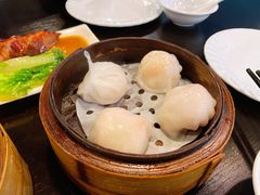 -添运来(茶园奥园广场店)