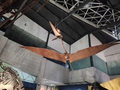 -湖南省地质博物馆