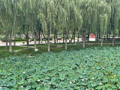 -廊坊文化艺术中心