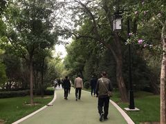 -迎泽公园