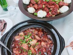 -食家鸽园