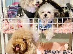 -IPARK购物中心